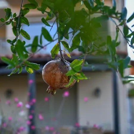 Villabayviewcrete * Hersonissos (Crete)