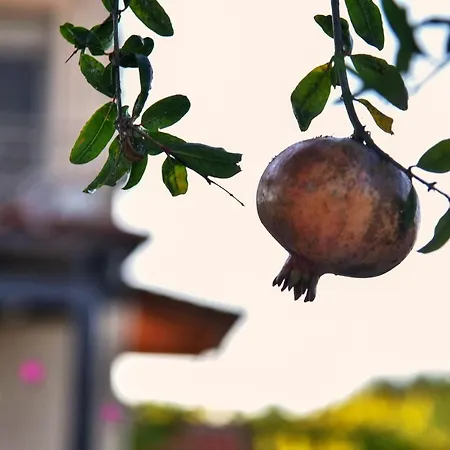 בית נופש Villabayviewcrete הרסוניסוס