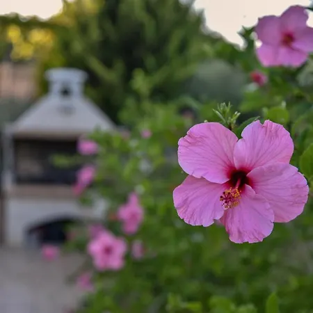 בית נופש Villabayviewcrete הרסוניסוס