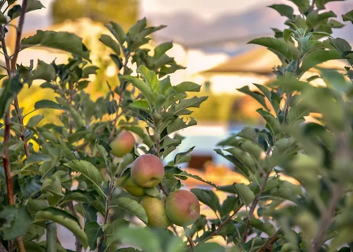 Casa de Férias Villabayviewcrete