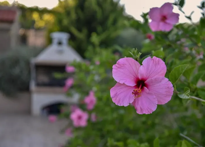 Casa de Férias Villabayviewcrete Hersonissos (Crete)