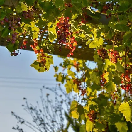 Villabayviewcrete * Hersonissos (Crete)