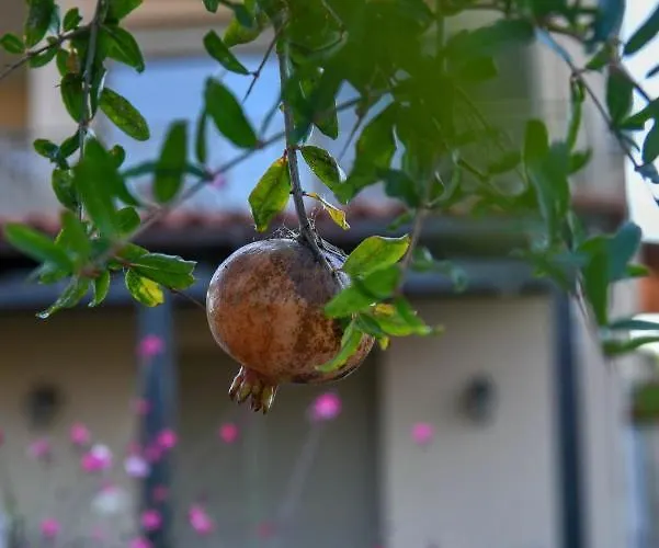Villabayviewcrete * Hersonissos (Crete)