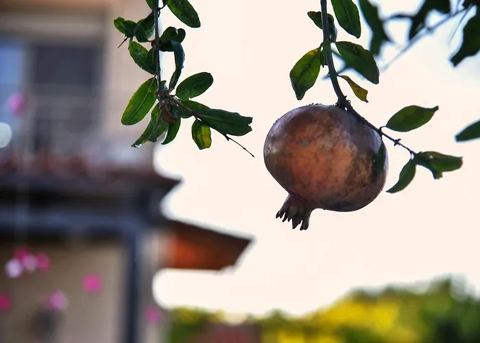 Nyaraló Villabayviewcrete Herszonisszosz