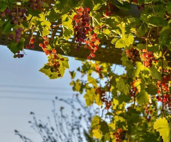 Villabayviewcrete * Herszonisszosz